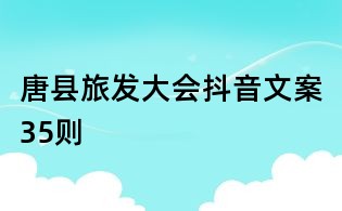 唐縣旅發(fā)大會(huì)抖音文案35則