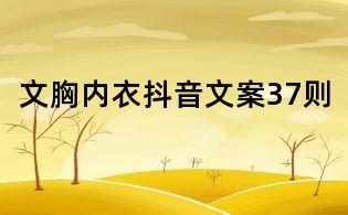 文胸內(nèi)衣抖音文案37則