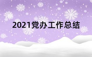 2021黨辦工作總結(jié)