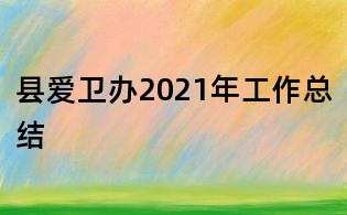 縣愛(ài)衛(wèi)辦2021年工作總結(jié)