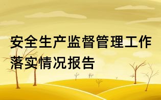 安全生產監督管理工作落實情況報告
