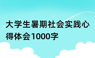 大學生暑期社會實踐心得體會1000字