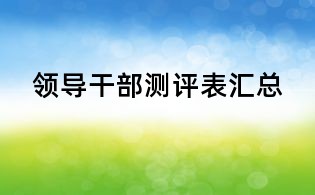 領導干部測評表匯總