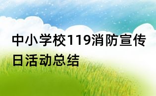 中小學(xué)校119消防宣傳日活動總結(jié)
