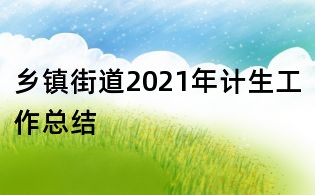 鄉鎮街道2021年計生工作總結