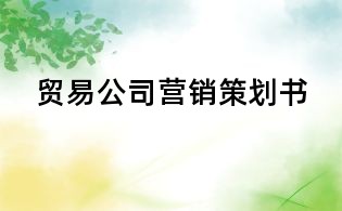 貿(mào)易公司營銷策劃書