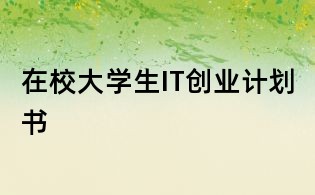 在校大學生IT創(chuàng)業(yè)計劃書