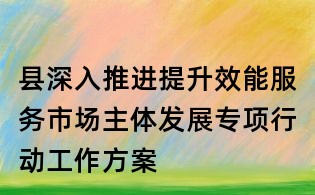 縣深入推進提升效能服務市場主體發展專項行動工作方案