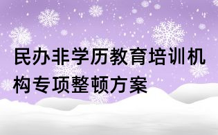 民辦非學歷教育培訓機構專項整頓方案