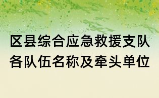 區(qū)縣綜合應(yīng)急救援支隊(duì)各隊(duì)伍名稱及牽頭單位