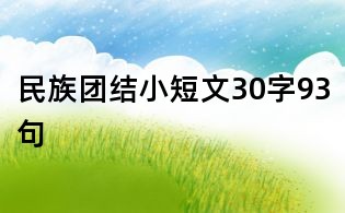 民族團(tuán)結(jié)小短文30字93句