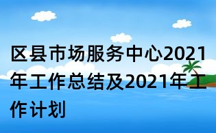 區縣市場服務中心2021年工作總結及2021年工作計劃