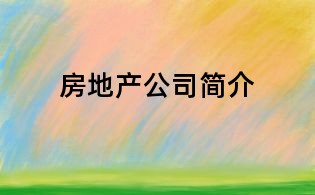 房地產(chǎn)公司簡(jiǎn)介