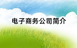 電子商務公司簡介