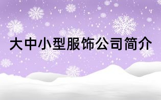 大中小型服飾公司簡介