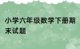 小學六年級數學下冊期末試題