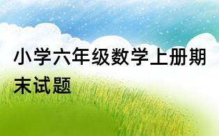 小學(xué)六年級數(shù)學(xué)上冊期末試題