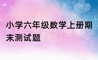 小學(xué)六年級數(shù)學(xué)上冊期末測試題