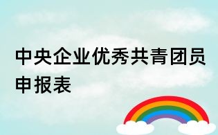 中央企業(yè)優(yōu)秀共青團員申報表