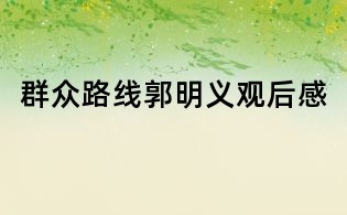 群眾路線郭明義觀后感