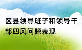 區縣領導班子和領導干部四風問題表現