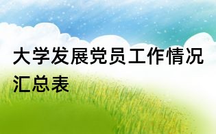 大學發展黨員工作情況匯總表