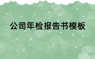 公司年檢報(bào)告書模板