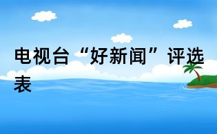 電視臺(tái)“好新聞”評(píng)選表