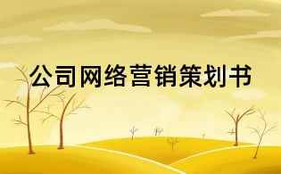 公司網(wǎng)絡(luò)營銷策劃書