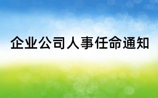 企業公司人事任命通知