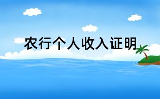 農(nóng)行個(gè)人收入證明