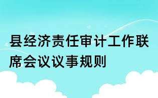 縣經(jīng)濟(jì)責(zé)任審計工作聯(lián)席會議議事規(guī)則