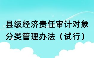 縣級經濟責任審計對象分類管理辦法(試行)