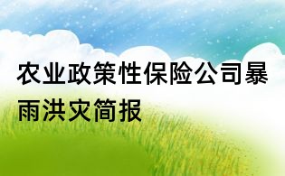 農業(yè)政策性保險公司暴雨洪災簡報