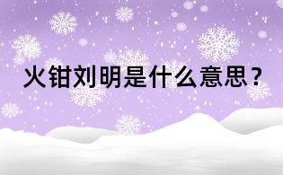 火鉗劉明是什么意思？
