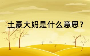 土豪大媽是什么意思？