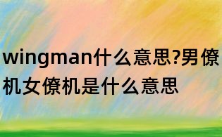 wingman什么意思?男僚機女僚機是什么意思