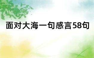面對大海一句感言58句