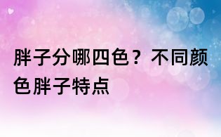 胖子分哪四色？不同顏色胖子特點