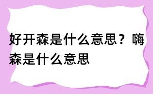 好開森是什么意思?嗨森是什么意思