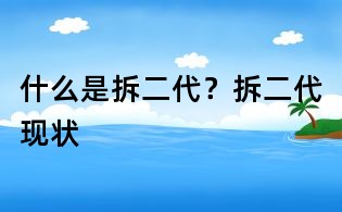 什么是拆二代？拆二代現狀
