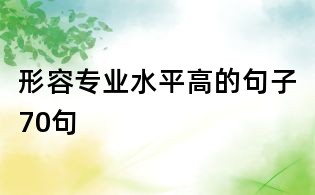 形容專業水平高的句子70句