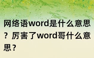 網絡語word是什么意思?厲害了word哥什么意思?