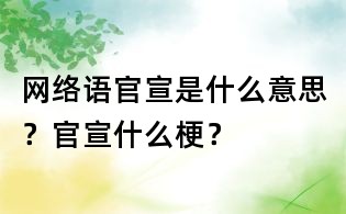 網絡語官宣是什么意思？官宣什么梗？