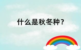 什么是秋冬種？
