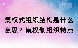 集權式組織結構是什么意思?集權制組織特點