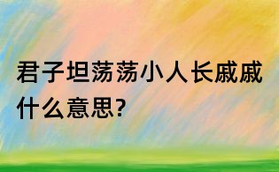 君子坦蕩蕩小人長戚戚什么意思?