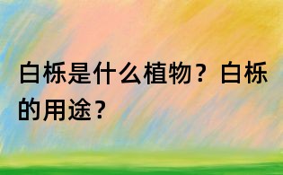 白櫟是什么植物？白櫟的用途？