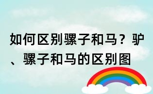 如何區別騾子和馬？驢、騾子和馬的區別圖