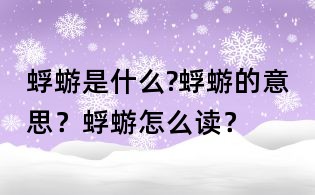 蜉蝣是什么?蜉蝣的意思？蜉蝣怎么讀？
